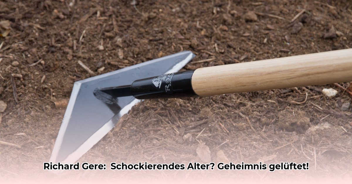 hoe-oud-is-richard-gere
